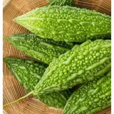 KARELA