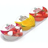DOLPHIN NATA DE COCO PUDDING 130G