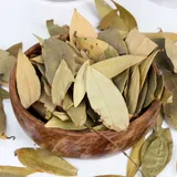 TEJ PATA 20