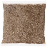ZEERA SABUT 500GM