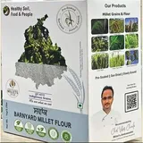 HEALTHY SOIL FOOD BARNYARD MILLET 1 KG