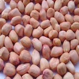 MUNGFALI DANA 250 GM