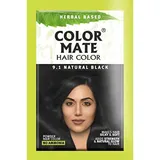 COLOR MATE HAIR COLOR 9.1 NATURAL BLACK 15G