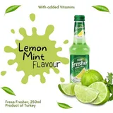 FRESA FRESHNER LEMON & MINT 250ML