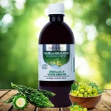 PATANJALI KARELA JAMUN JUICE 100% 500ML