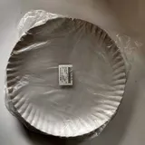 PAPER PLATE 10 NO 110