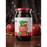 ISHAN'S APPLE CHUTNEY 500 GRAM