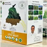 HEALTHY SOIL FOOD LITTLE MILLET 1 KG