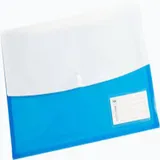 WORLDONE CLEAR BAG