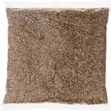 ZEERA SABUT 100GMS.