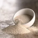 YEAST DRY 20GM