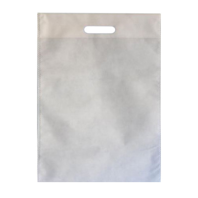 CARRY BAG 10