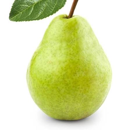 NASHPATI