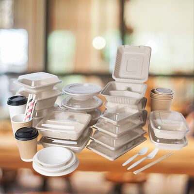 PACKAGING & DISPOSABLE New