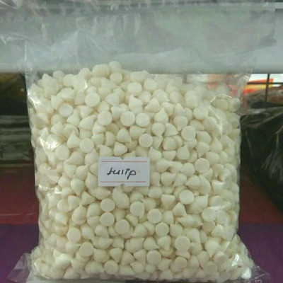 CHOCO CHIP WHITE 100G