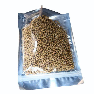 DHANIYA SABUT 250G