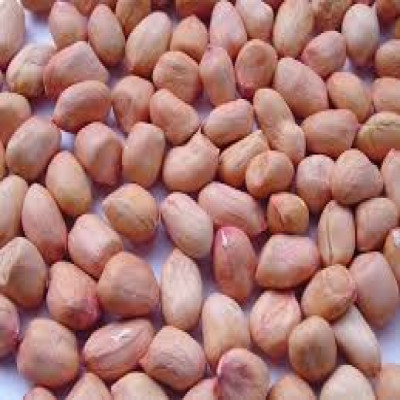 MUNGFALI DANA 250 GM