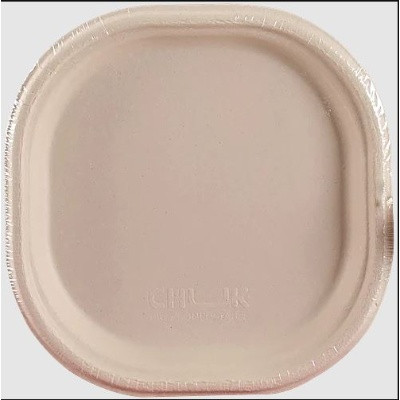 CHUK PLATE 10 NO 10PCS SET