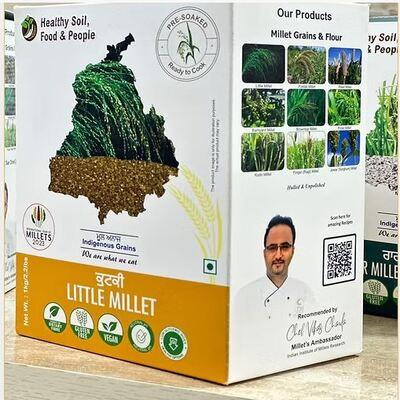 HEALTHY SOIL FOOD LITTLE MILLET 1 KG