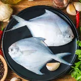 Premium Fresh White Pomfret (Whole) - 500g