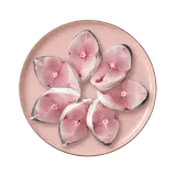 B2B Frozen Surmai Steaks-12pcs-1kg