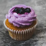 Vanilla & Blueberry Cupcake