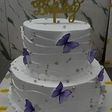Butterfly Celebration Cake