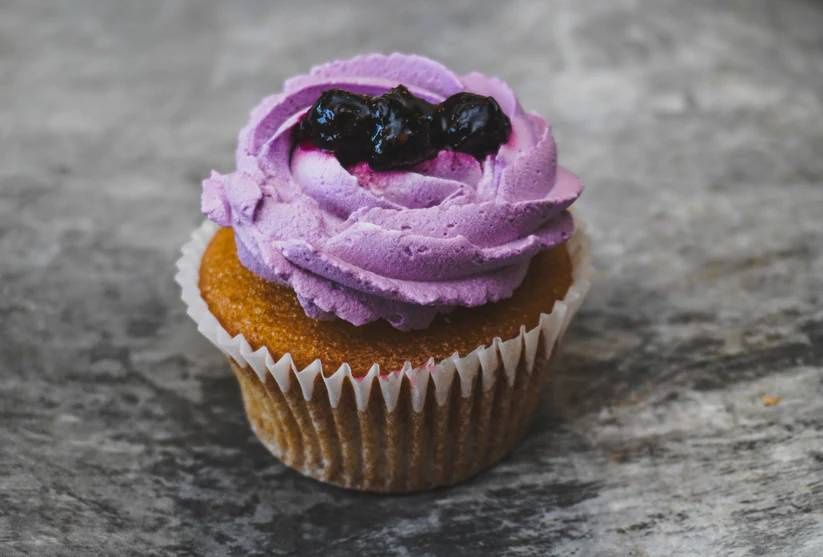 Vanilla & Blueberry Cupcake