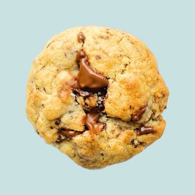 Fat Chocolate Chunk Cookie