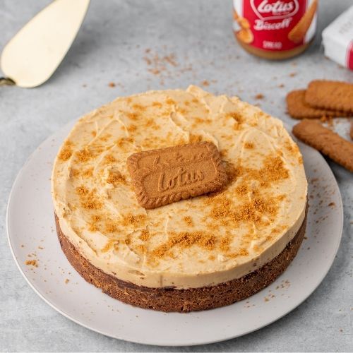 1 kg Lotus Biscoff Layered Cheesecake