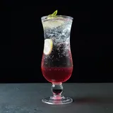 Hibiscus  Drink
