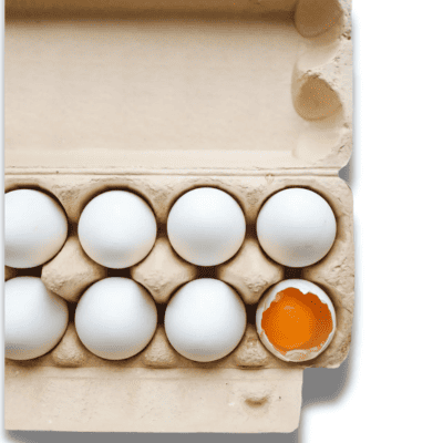 Orange Yolk White Eggs (10 pc)
