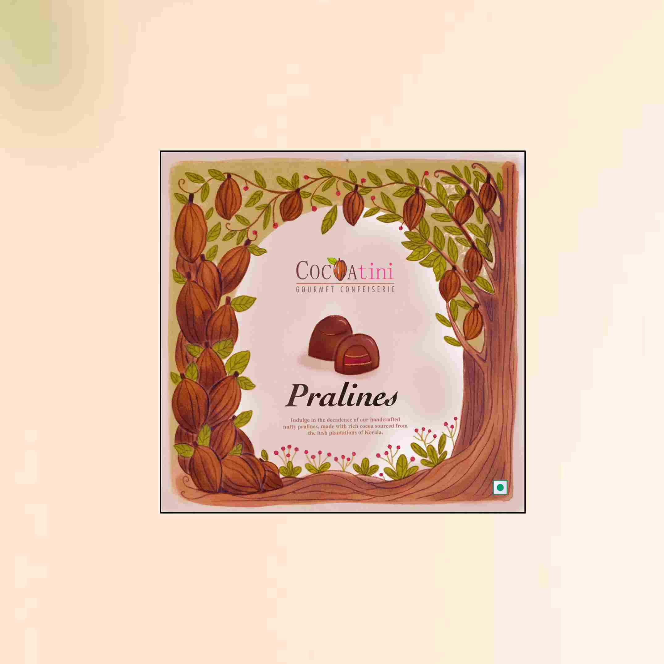 9 Pcs Pralines 100g