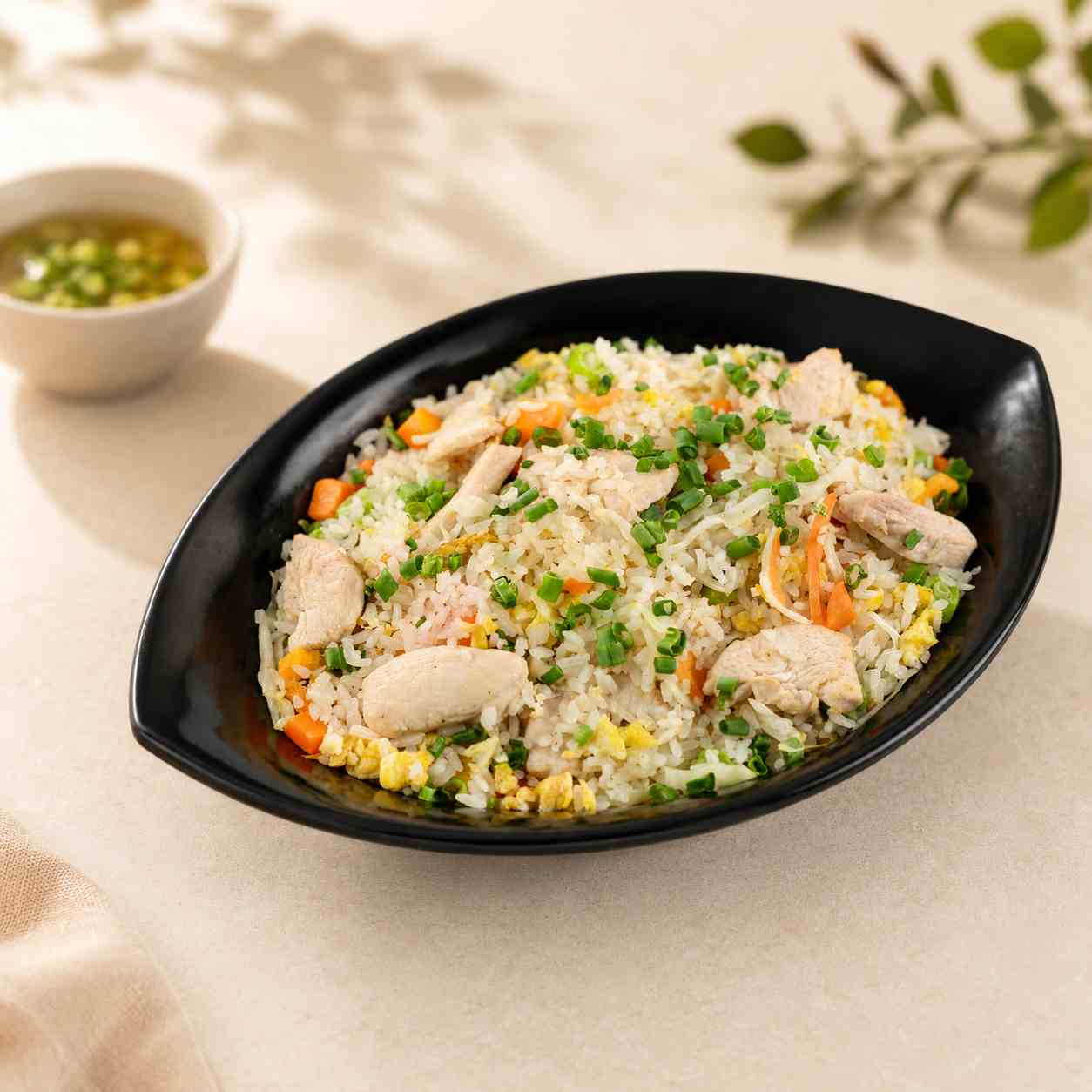 Empire Special Rice & Fried Rice