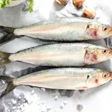 Mathi / Sardines