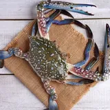 Blue Crab (450-550 Gms).