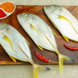 Trevally / Paarai