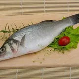 Seabass / Koduva / Bhetkhi
