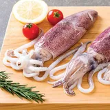 Squid / Kanava / Koonthal