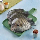 Karimeen / Green Chromide