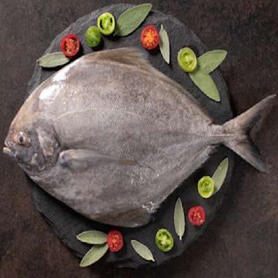 Black Pomfret / Karuppu Vavval