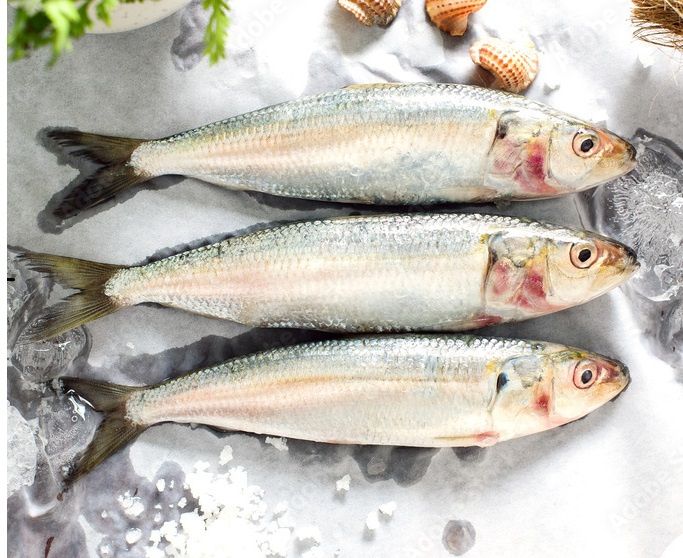Mathi / Sardines