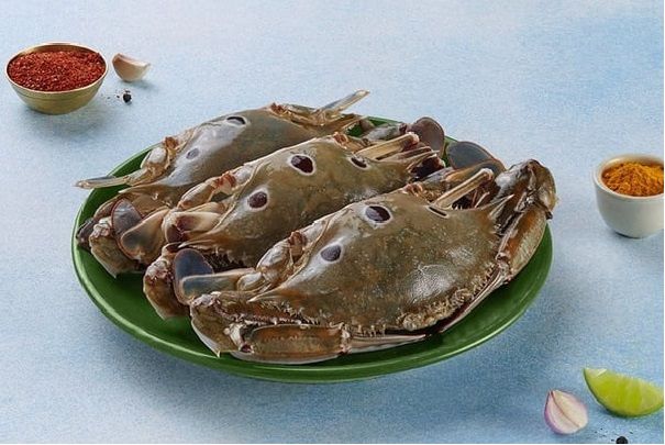 Three Spot Crab (450-550 Gms)