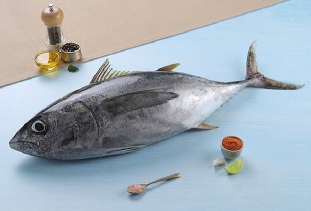 Tuna / Soorai