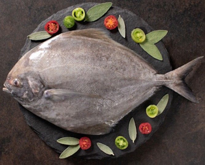 Black Pomfret / Karuppu Vavval
