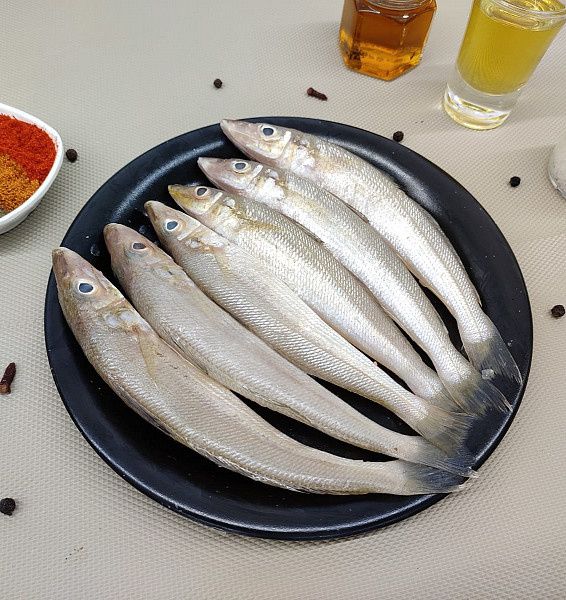 Kilangan / Lady Fish