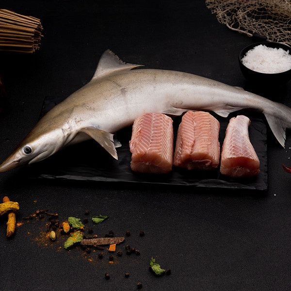 Sura / Shark -(700g-800g)
