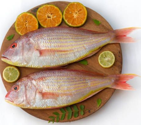 Sankara / Pink Perch