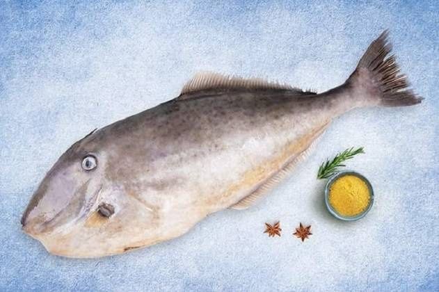 Leather Jacket - Gross Wt (1.5 Kg To 1.8 Kg)