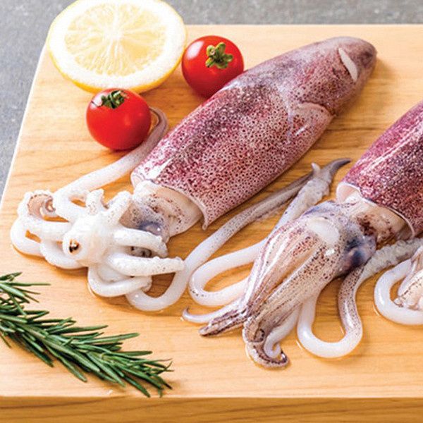 Squid / Kanava / Koonthal